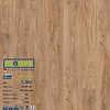 Sàn gỗ Binyl Class 8mm TL5947