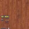 Sàn gỗ Binyl Class 8mm TL8459