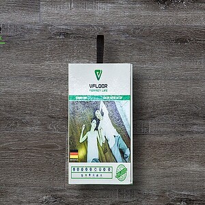 Sàn Nhựa Vfloor Perfect 4mm V402