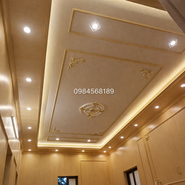 Trần Nhựa Nano Hai Cấp TBC13