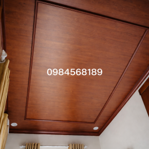 Trần Nhựa Nano Phẳng TPB01