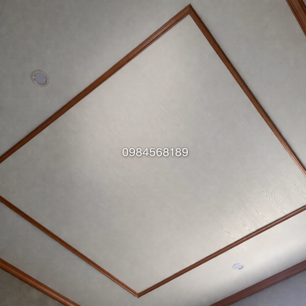 Trần Nhựa Nano Phẳng TPB07