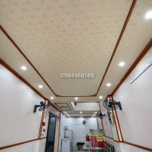 Trần Nhựa Nano Phẳng TPB08